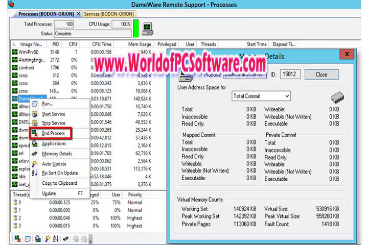 DameWare Remote Support 12.2.4.11 Free Download