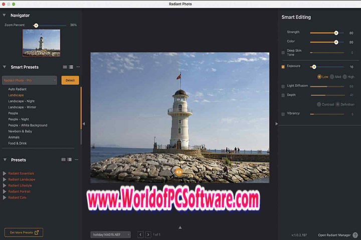 Radiant Photo v1.1.0.247 Free Download